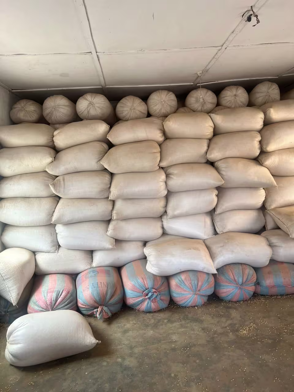 Soybean Stock & Distribution